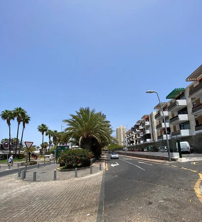 Las Piteras Bungalows contacts
